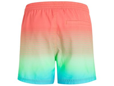 O'NEILL Badehose JACK CALI GRADIENT 15'' SWIM SHORTS Blau