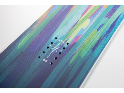 NITRO Snowboard LECTRA BRUSH Brd´24 Bunt