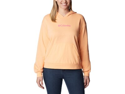 COLUMBIA Columbia Logo III French Terry Hoodie Orange