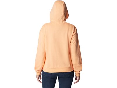 COLUMBIA Columbia Logo III French Terry Hoodie Orange