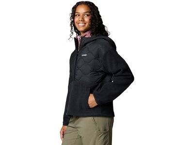 COLUMBIA Rollkragen Cloud Point Hooded Fleece Schwarz