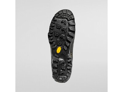 LA SPORTIVA Herren Bergstiefel TxS Gtx Grau