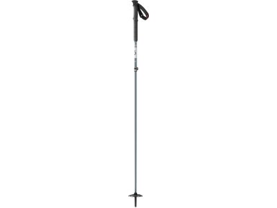 SCOTT Herren Alpin-Skistock SCO Pole Proguide C SRS Grau