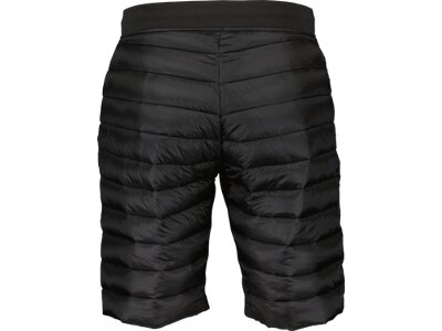 SCOTT Herren Shorts SCO Shorts M's Insuloft Tech Schwarz