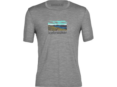 ICEBREAKER Herren Shirt Grau