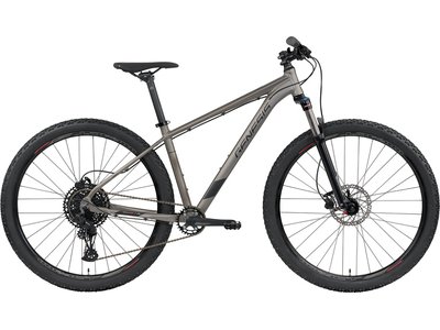 intersport genesis bike