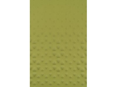 SEA TO SUMMIT Selbstaufblasende Schlafmatte Camp Mat Self Inflating Mat Large Olive Grün