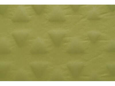 SEA TO SUMMIT Selbstaufblasende Schlafmatte Camp Mat Self Inflating Mat Rectangular Regular Wide Oli Grün