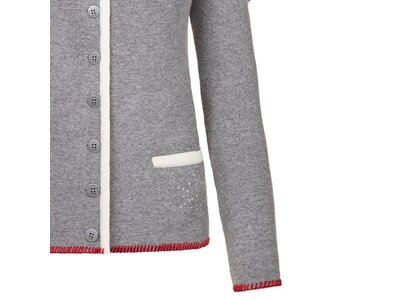ALMGWAND 1928 Damen Jacke BIECHLALM Grau