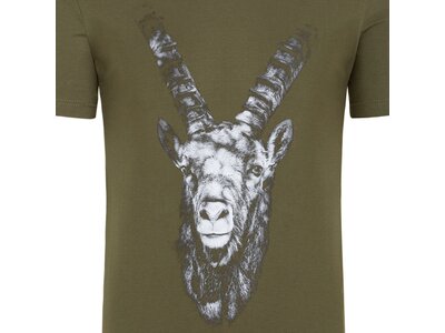 ALMGWAND 1928 Herren Shirt ASLERALM Braun