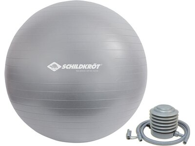 SCHILDKRÖT FITNESS Ball Schildkröt Gymnastikball, Anti-Burst Qualität, inkl. Luftpumpe, phthalatfrei Grau