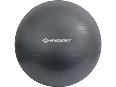 SCHILDKRÖT FITNESS Ball Schildkröt Gymnastikball, Anti-Burst Qualität, inkl. Luftpumpe, phthalatfrei Grau