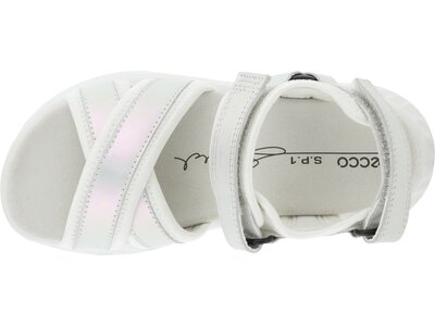 ECCO Herren Halbschuhe SP.1 LITE SANDAL K FLAT S Grau