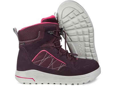 ECCO URBAN SNOWBOARDER Boot Lila