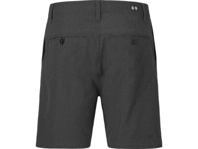 PICTURE Herren Shorts PODAR HYBRID 19 BRDS Schwarz