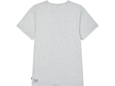 PICTURE Herren Shirt MURRAY TEE Grau