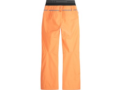 PICTURE Damen Sporthose TREVA PANTS Braun