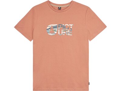PICTURE Damen Shirt BASEMENT TEE W Braun