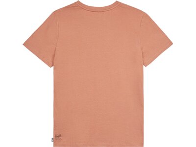 PICTURE Damen Shirt BASEMENT TEE W Braun