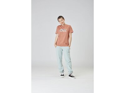 PICTURE Damen Shirt BASEMENT TEE W Braun