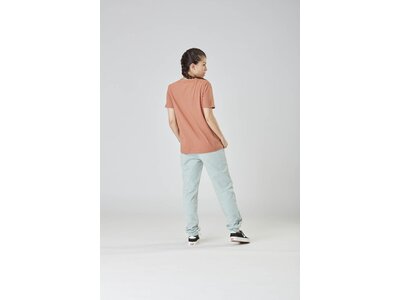 PICTURE Damen Shirt BASEMENT TEE W Braun
