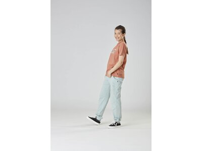 PICTURE Damen Shirt BASEMENT TEE W Braun