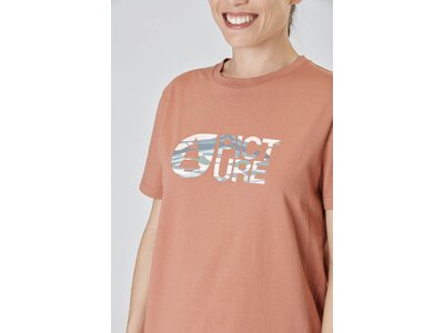 PICTURE Damen Shirt BASEMENT TEE W Braun