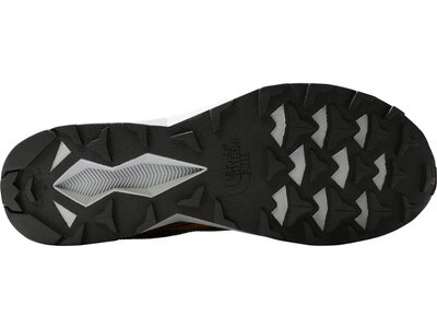 THE NORTH FACE Herren Trailrunningschuhe M VECTIV LEVITUM FUTURELIGHT Braun