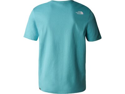 THE NORTH FACE Herren Shirt M S/S MOUNTAIN LINE TEE Blau