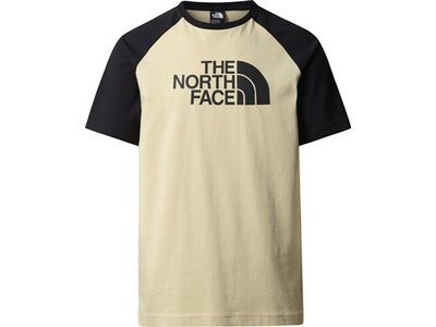 THE NORTH FACE Herren Shirt M S/S RAGLAN EASY TEE Grau