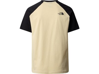 THE NORTH FACE Herren Shirt M S/S RAGLAN EASY TEE Grau