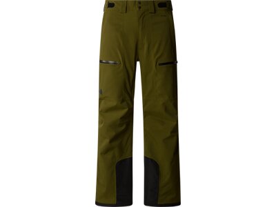 THE NORTH FACE Herren Hose M CHAKAL PANT Grün