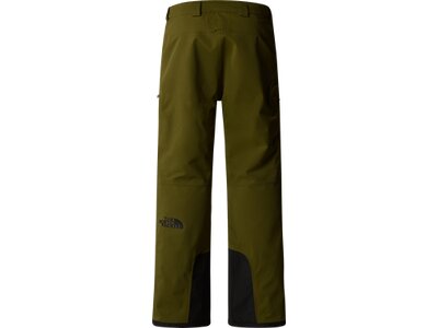 THE NORTH FACE Herren Hose M CHAKAL PANT Grün