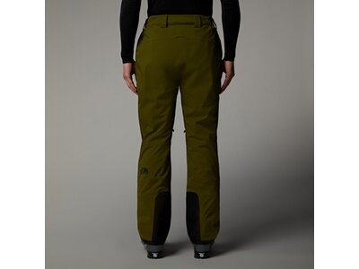 THE NORTH FACE Herren Hose M CHAKAL PANT Grün