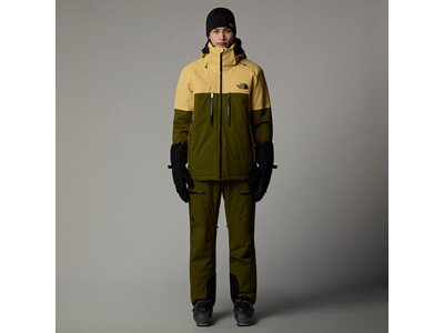 THE NORTH FACE Herren Hose M CHAKAL PANT Grün