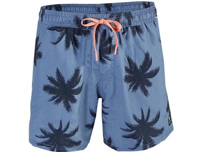 BRUNOTTI Herren Badeshorts TEUNS Blau