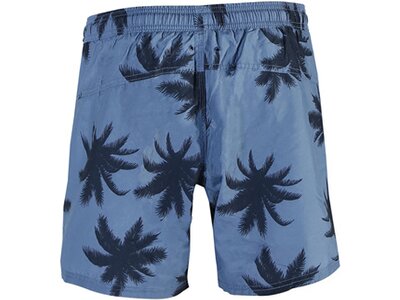 BRUNOTTI Herren Badeshorts TEUNS Blau