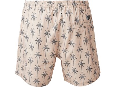 BRUNOTTI Herren Badeshorts Darmin Braun