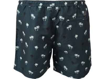 BRUNOTTI Herren Badeshorts Roshan Grün