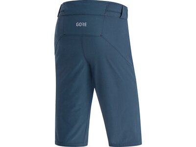 GORE® C5 Shorts Blau