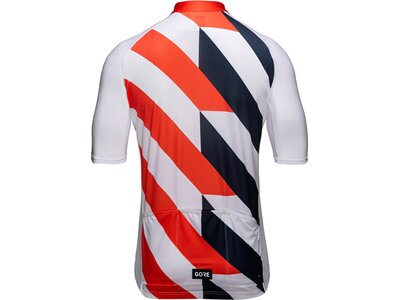 GORE WEAR Herren Trikot Signal Trikot Herren Weiß