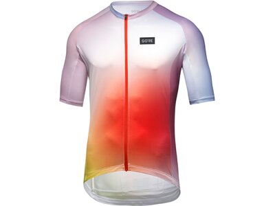 GORE WEAR Herren Trikot Cloud Trikot Herren Orange