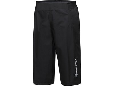 GORE WEAR Herren Shorts Endure Shorts Schwarz
