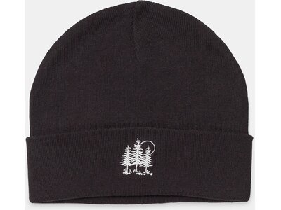 TENTREE Herren Golden Spruce Update Kurt Beanie Schwarz