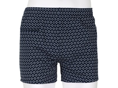 WAVEBREAKER Badehose Badehose Blau