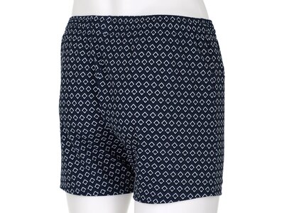 WAVEBREAKER Badehose Badehose Blau