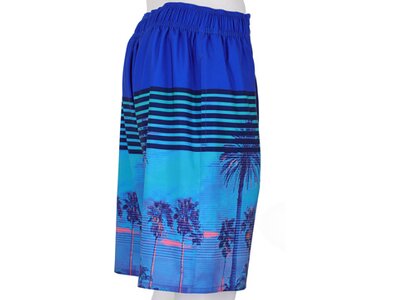 WAVEBREAKER Herren Badebermuda Shorts Blau