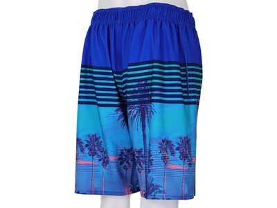 WAVEBREAKER Herren Badebermuda Shorts Blau