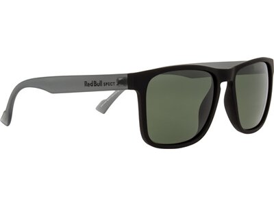 Red Bull SPECT Eyewear Sonnenbrille LEAP Braun