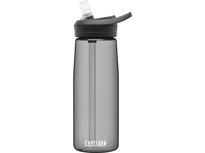 CAMELBAK Trinkflasche eddy+ Grau